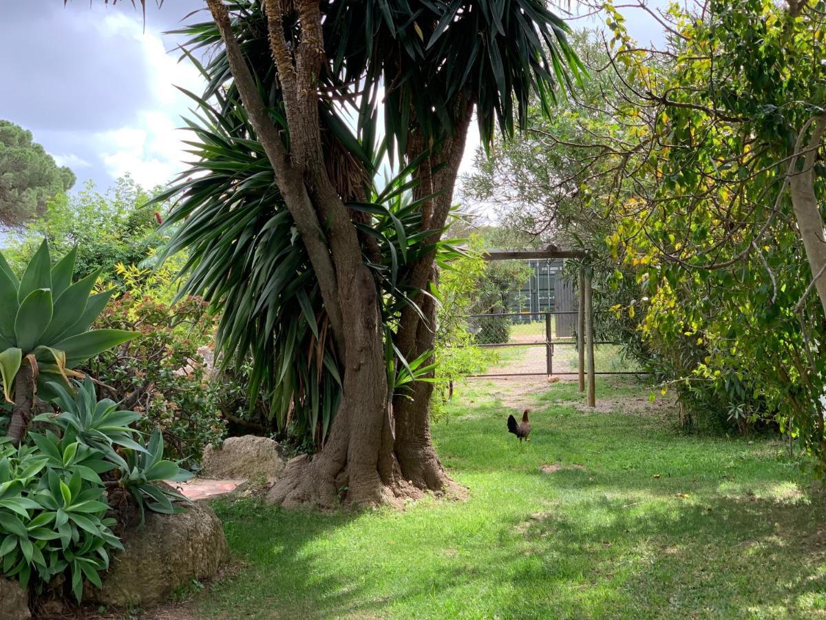 Finca Filpi Hotel Chiclana de la Frontera Luaran gambar